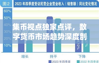 集币视点独家点评，数字货币市场趋势深度剖析