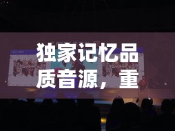 独家记忆品质音源，重塑音乐新纪元体验