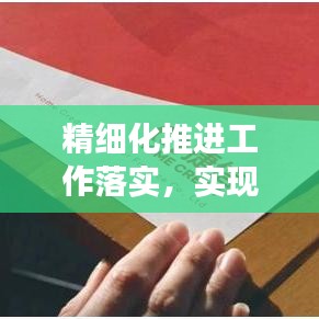 精细化推进工作落实，实现效率与质量的双重提升保障