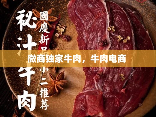 微商独家牛肉，牛肉电商 