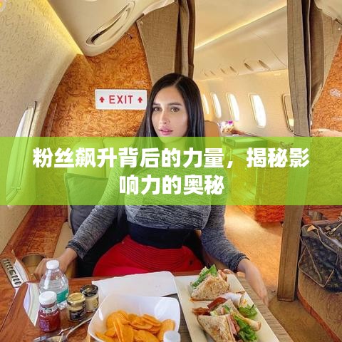 粉丝飙升背后的力量，揭秘影响力的奥秘