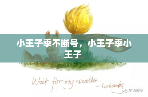 小王子季不断号，小王子季小王子 