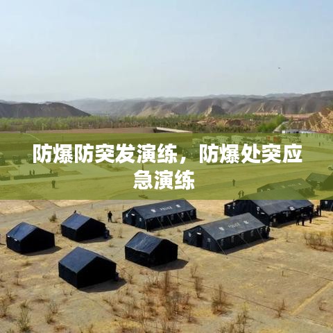 防爆防突发演练，防爆处突应急演练 