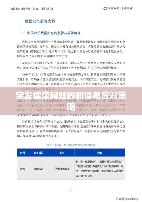 突发健康问题的翻译与应对策略