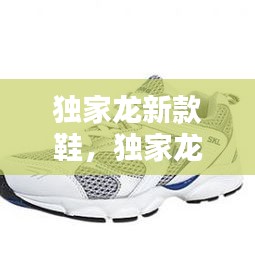 独家龙新款鞋，独家龙鞋多少钱一双 