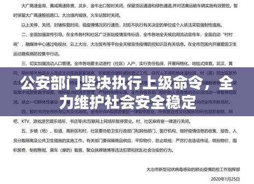 夯雀儿先飞 第2页