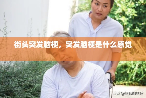 张灯挂彩 第2页
