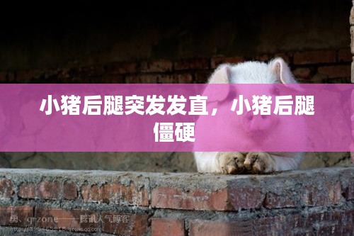 业业兢兢 第2页