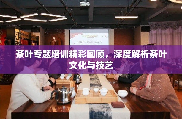 茶叶专题培训精彩回顾，深度解析茶叶文化与技艺