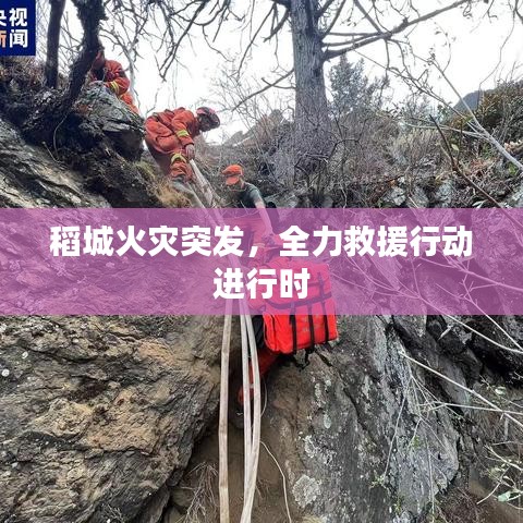 稻城火灾突发，全力救援行动进行时