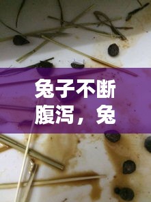 老死不相往来 第2页
