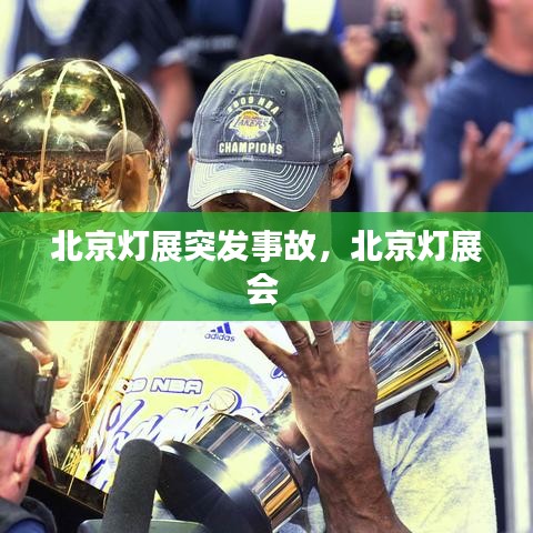 北京灯展突发事故，北京灯展会 