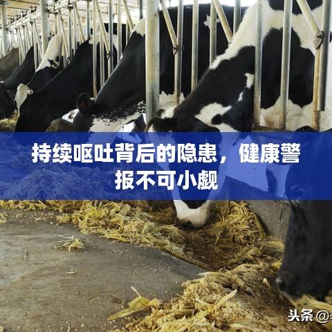 持续呕吐背后的隐患，健康警报不可小觑