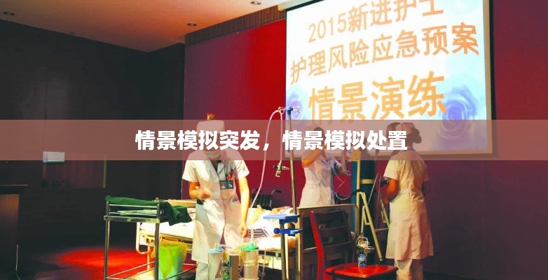 情景模拟突发，情景模拟处置 