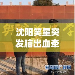 沈阳笑星突发脑出血牵动人心，娱乐界全力支援救治