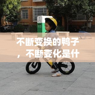 不断变换的鸭子，不断变化是什么意思 