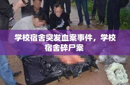 鸡飞狗跳 第2页