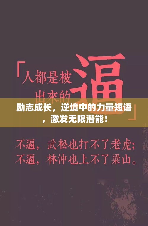 励志成长，逆境中的力量短语，激发无限潜能！