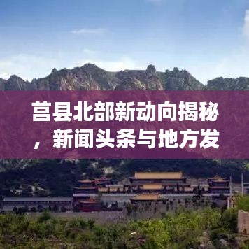 一花独放 第2页