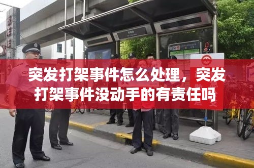 突发打架事件怎么处理，突发打架事件没动手的有责任吗 