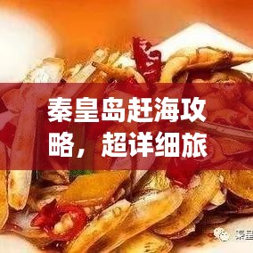 秦皇岛赶海攻略，超详细旅游指南，带你玩转海边之旅！