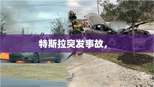 特斯拉突发事故， 