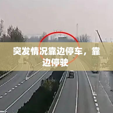 瞻云就日 第2页