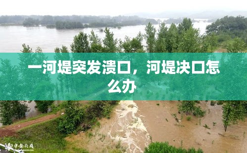 一河堤突发溃口，河堤决口怎么办 