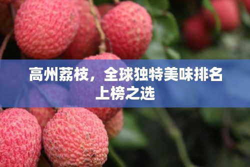 高州荔枝，全球独特美味排名上榜之选
