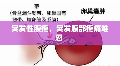 突发性腹疼，突发腹部疼痛难忍 