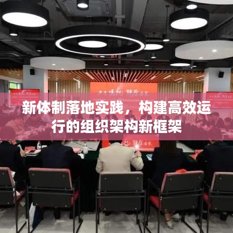新体制落地实践，构建高效运行的组织架构新框架