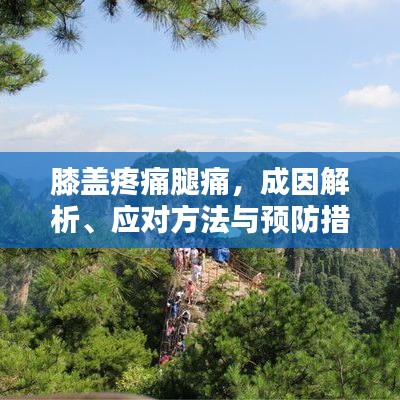 膝盖疼痛腿痛，成因解析、应对方法与预防措施
