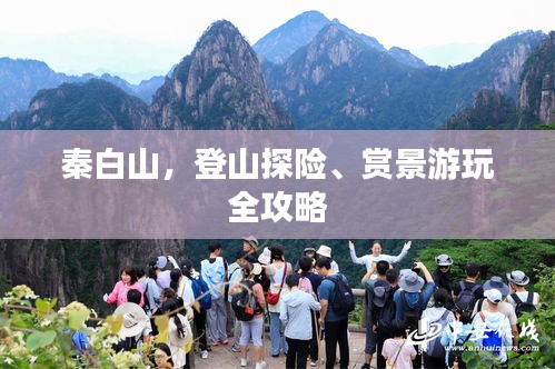 张三李四 第2页