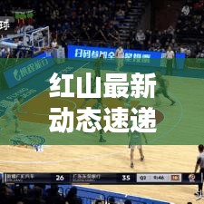 红山最新动态速递，今日信息更新汇总