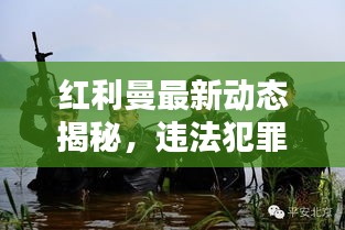 红利曼最新动态揭秘，违法犯罪问题浮出水面