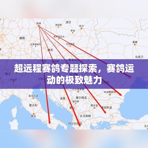 超远程赛鸽专题探索，赛鸽运动的极致魅力