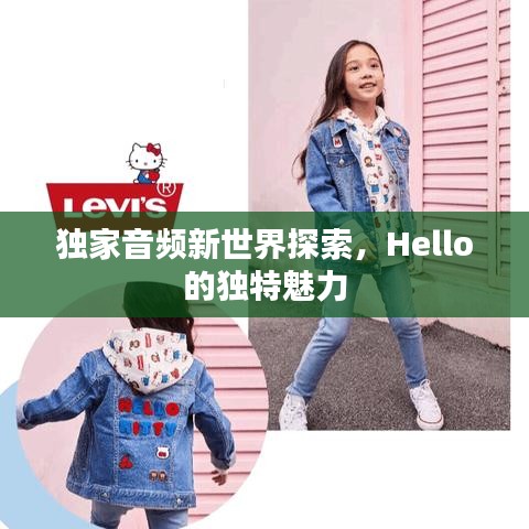 独家音频新世界探索，Hello的独特魅力