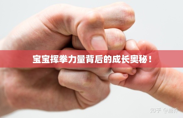 宝宝挥拳力量背后的成长奥秘！