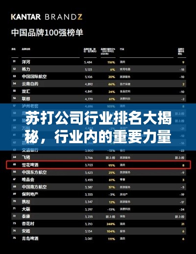 苏打公司行业排名大揭秘，行业内的重要力量！