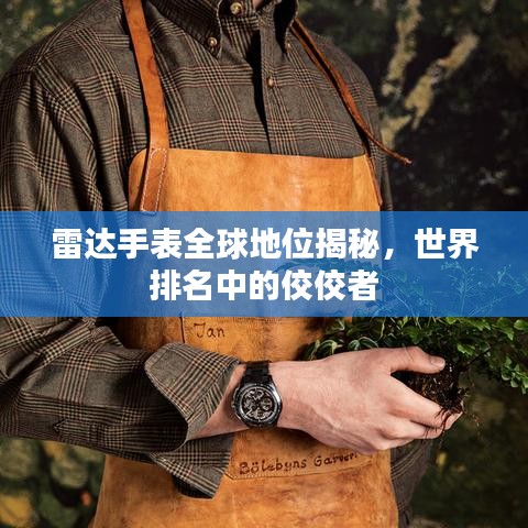 千辛万苦 第2页