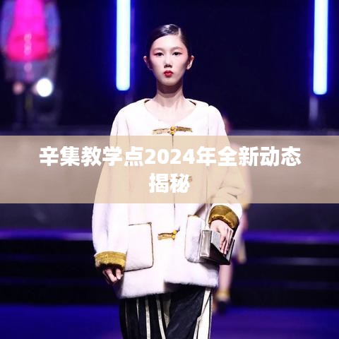 辛集教学点2024年全新动态揭秘