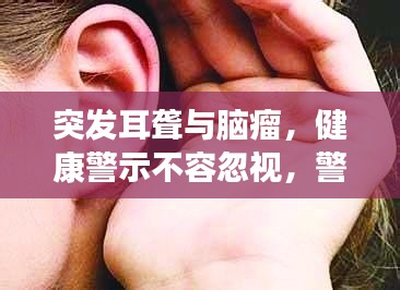 蚁出蚋飞 第2页