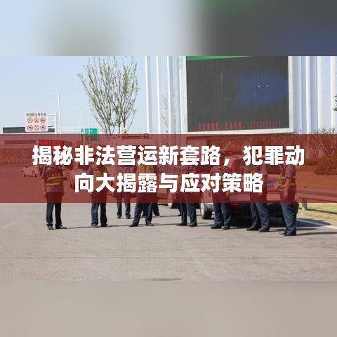 揭秘非法营运新套路，犯罪动向大揭露与应对策略