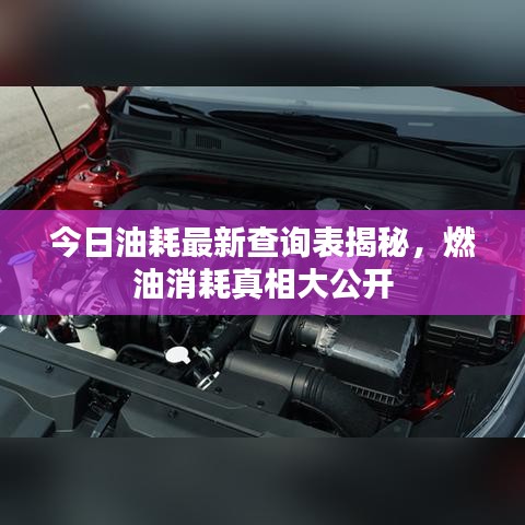 今日油耗最新查询表揭秘，燃油消耗真相大公开