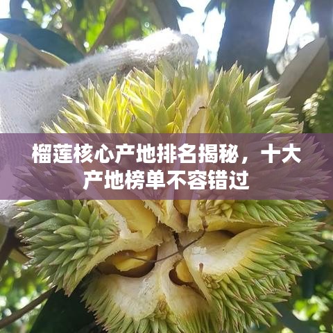 榴莲核心产地排名揭秘，十大产地榜单不容错过