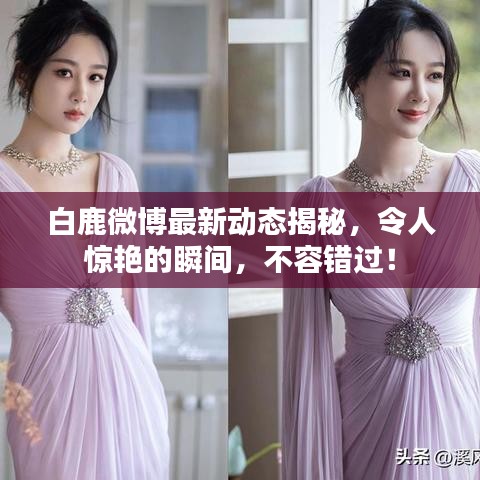 白鹿微博最新动态揭秘，令人惊艳的瞬间，不容错过！