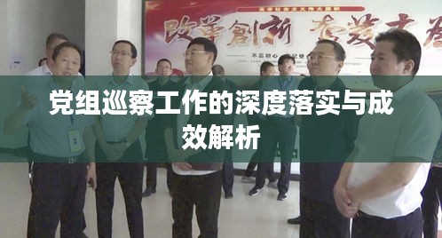 党组巡察工作的深度落实与成效解析