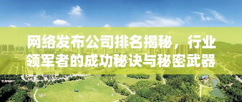 网络发布公司排名揭秘，行业领军者的成功秘诀与秘密武器