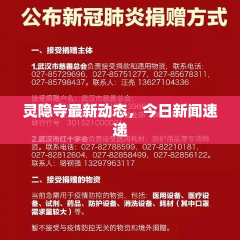 灵隐寺最新动态，今日新闻速递
