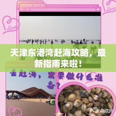 天津东港湾赶海攻略，最新指南来啦！